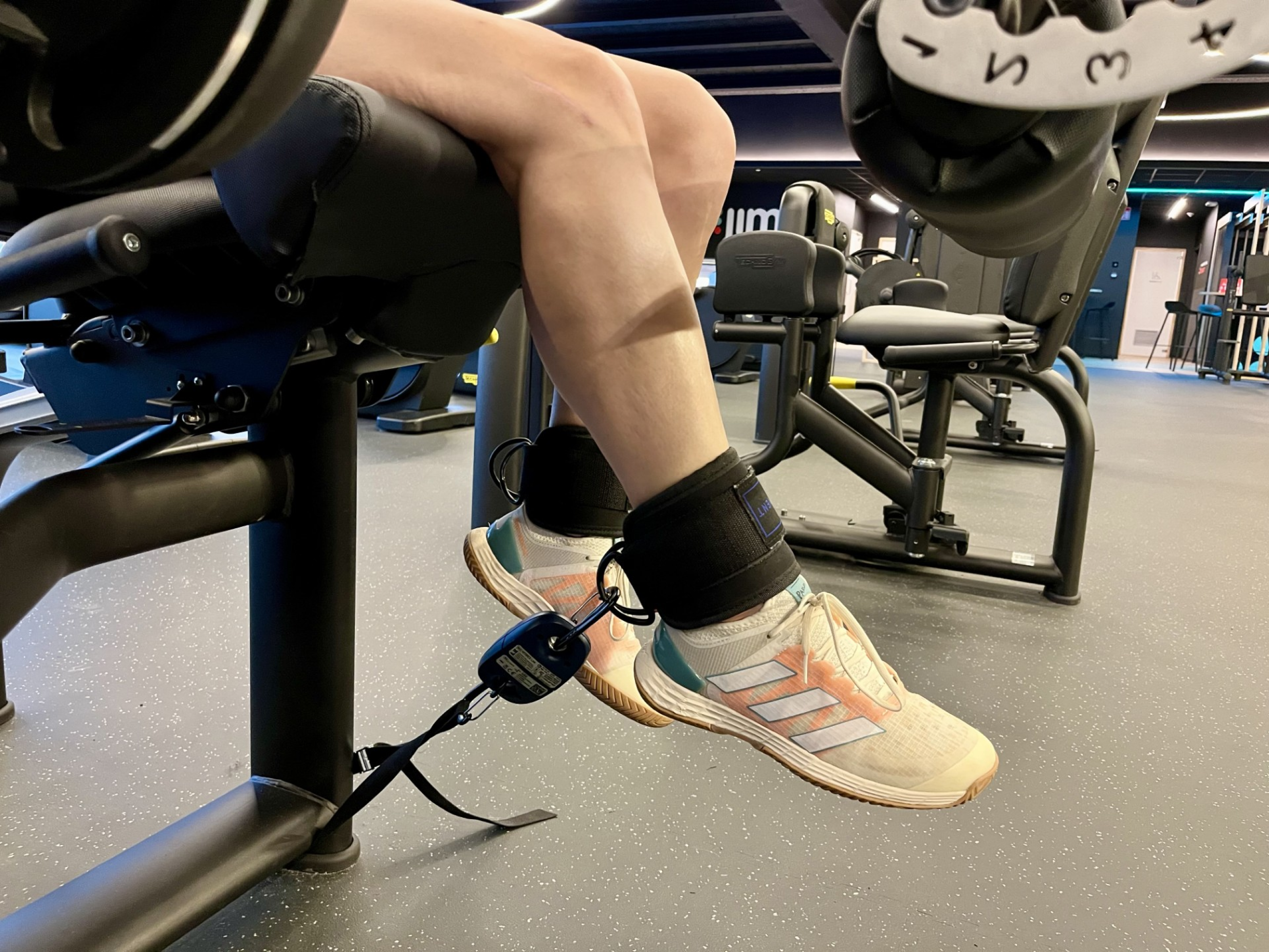 Image of person doing leg raises